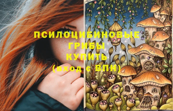 jwh Белокуриха