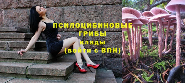 соль ск Белоозёрский