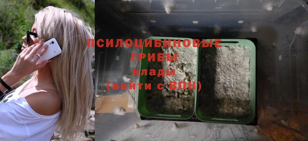 jwh Белокуриха